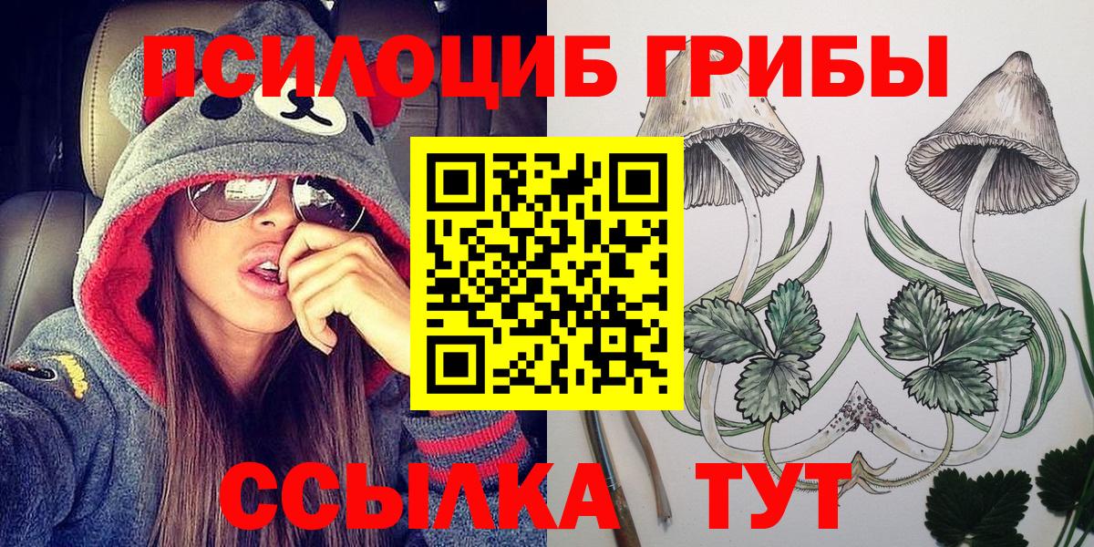 Губаха  Галлюциногенные грибы GOLDEN TEACHER  Вход с VPN 